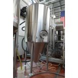 30 BBL SS Fermenter Tank