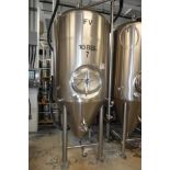 10 BBL SS Fermenter Tank