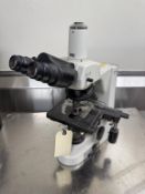 Nikon Microscope