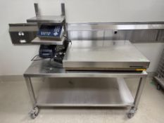Mettler Toledo Platform Scale