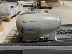 Dry Scroll Pump