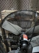 Oscillating Fans