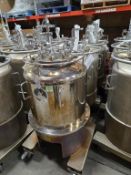 Stainless Steel Tanks