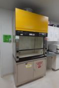 Labconco Protector Fume Hood