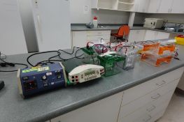 Electrophoresis System