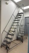 12-Step Rolling Platform Ladder
