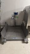 Mettler Toledo Floor Scale