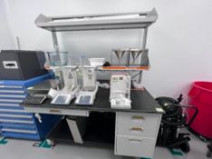 Fisher Hamilton Lab Bench