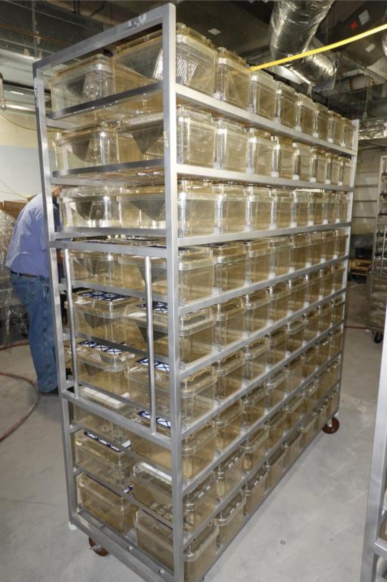 P2000 Rat Rack Ancare (Lot of 2) 144 Cage Capacity Rodent Racks With Rubbermaid Bin of ...