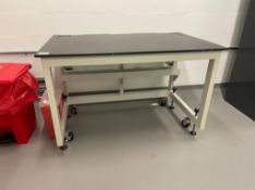 Laboratory Work Bench