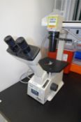 Inverted Microscope W-Objectives