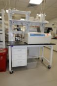 Mobile Lab Workstation Bench