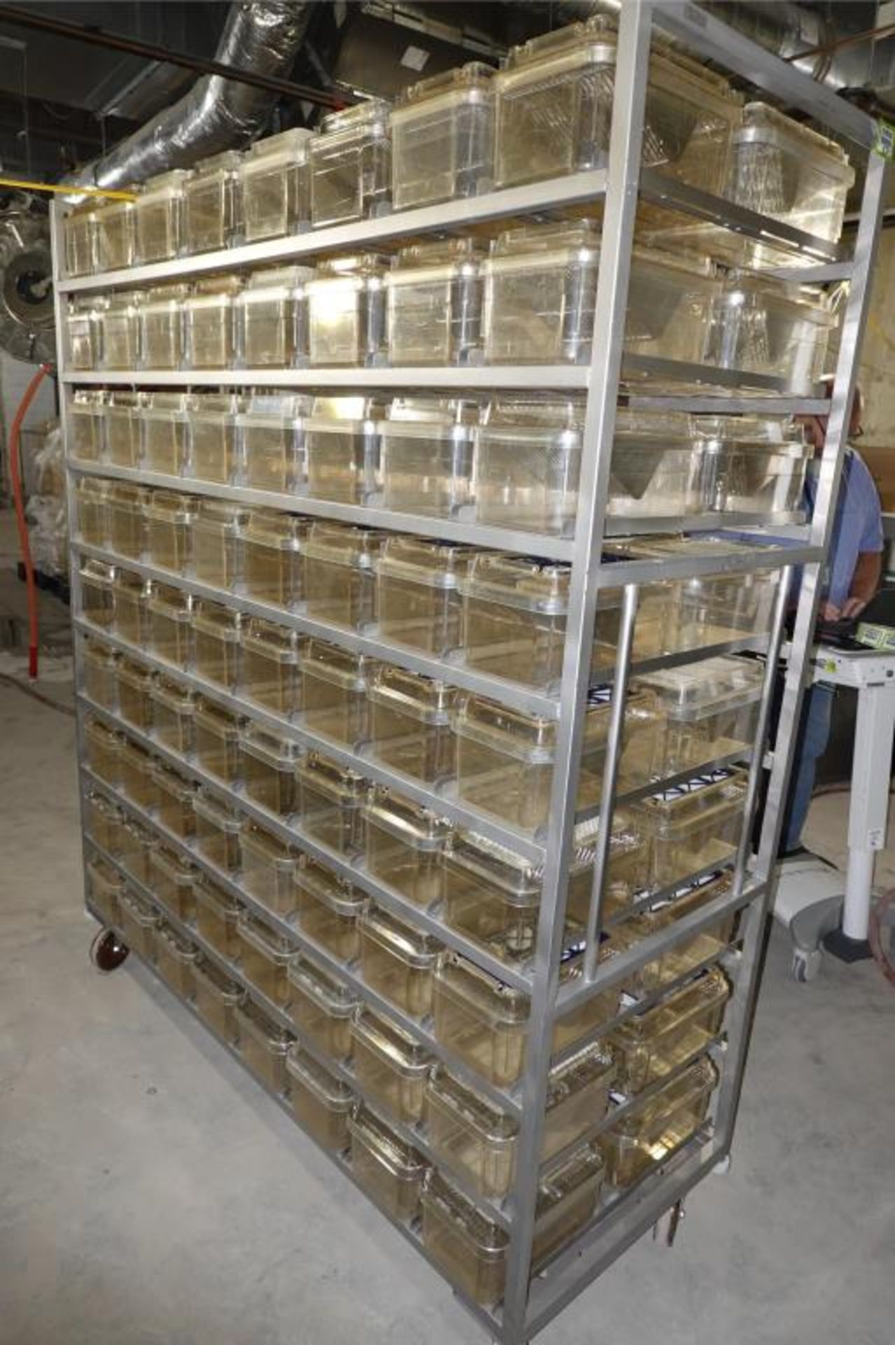 P2000 Rat Rack Ancare (Lot of 2) 144 Cage Capacity Rodent Racks With Rubbermaid Bin of ...