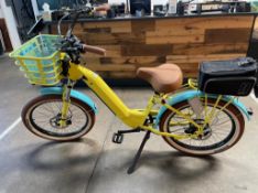 Electric Bicycle