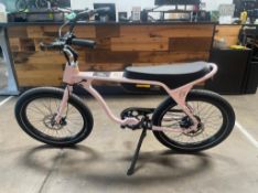 Electric Bicycle