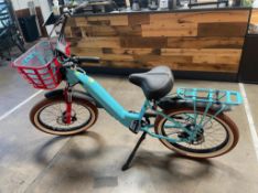 Electric Bicycle