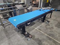 RL Craig Belt Conveyor