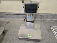 Johnson Scale Platform Scale