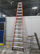 Werner Ladder