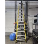 Werner Ladder