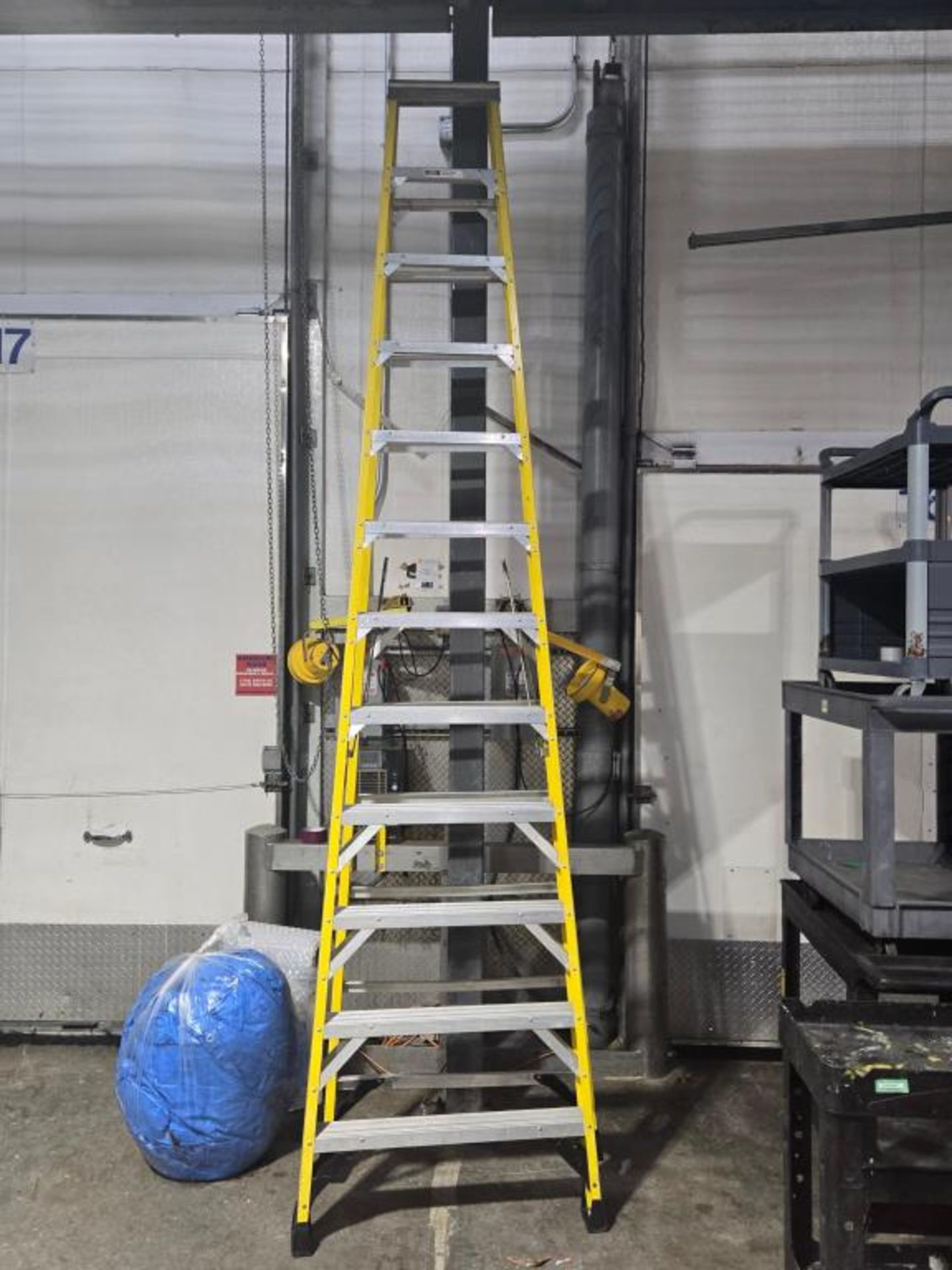 Werner Ladder
