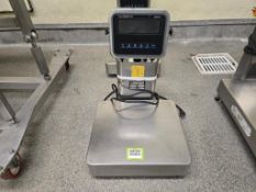 Johnson Scale Platform Scale