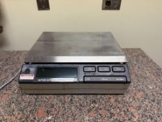 Mettler Toledo Scale