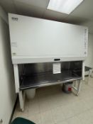 Esco LA2 - 6A2 6 ft Biosafety Cabinet