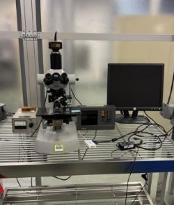 Zeiss Microscope