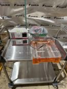 Electrophoresis System