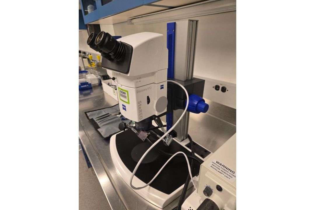 Carl Zeiss Microscope - Image 3 of 20