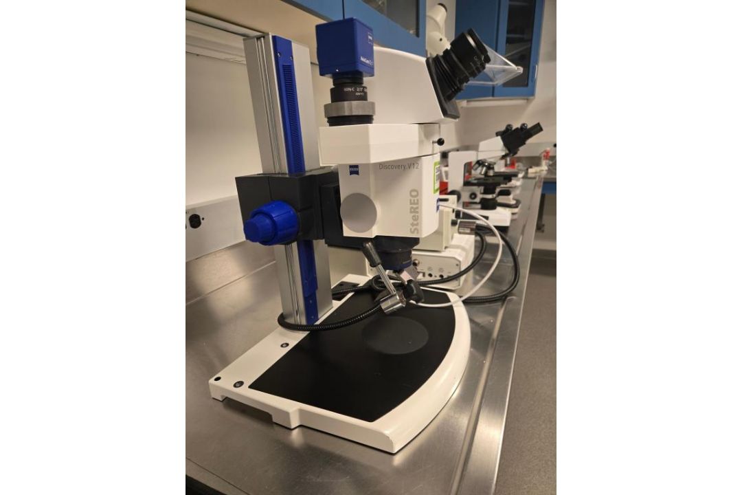 Carl Zeiss Microscope - Image 5 of 20