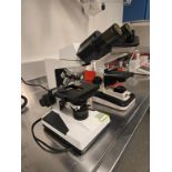 WPI Microscope