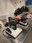 WPI Microscope