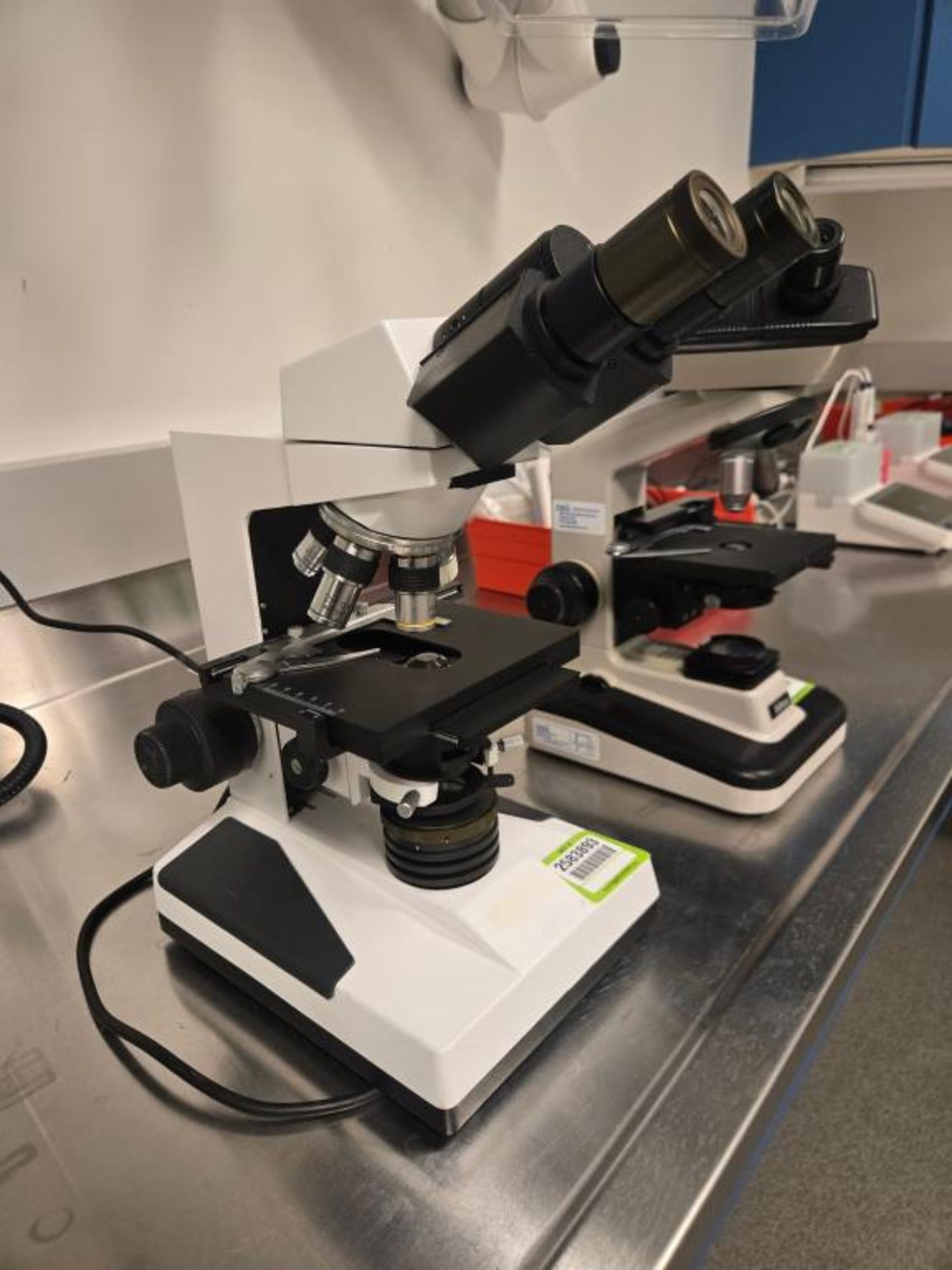 WPI Microscope