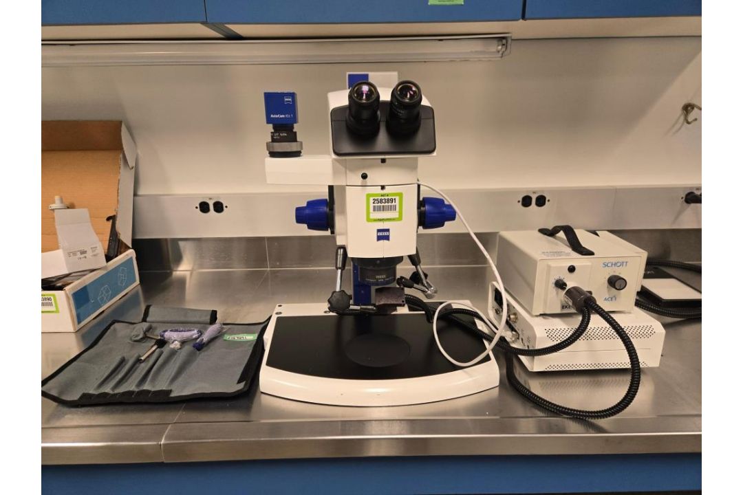 Carl Zeiss Microscope - Image 1 of 20