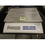 Mettler-Toledo Scale