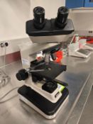 Nikon Microscope