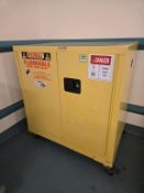 Securall Cabinet