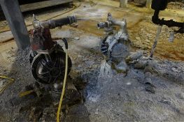 Diaphragm Pumps