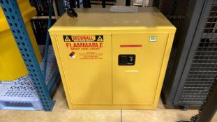 Securall Two Door Flammable Storage Cabinet