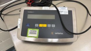 Sartorius Scale