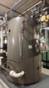Fulton Steam Boiler System