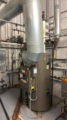Fulton Steam Boiler System