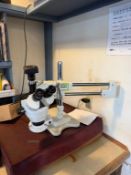 AmScope Stereo Microscope