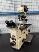 Olympus Microscope