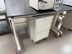 Lab Bench On Casters