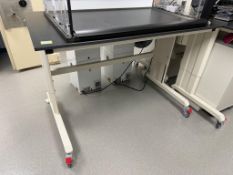 Lab Bench On Casters
