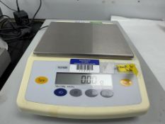 Sartorius Scale