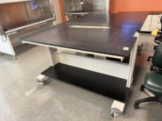 Rolling Lab Tables